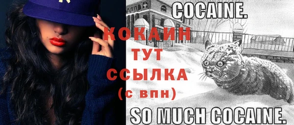 стафф Верхний Тагил